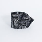 METALLIC BLACK PAISLEY FESTIVE TIE